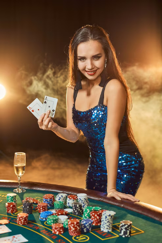 Yasalcasinom giriş süreci